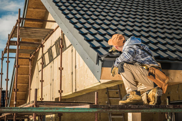 Best Skylight Installation and Repair  in Honey Grove, TX